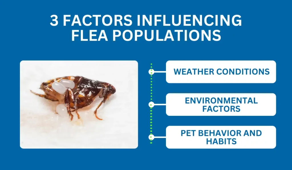 3 Factors Influencing Flea Populations