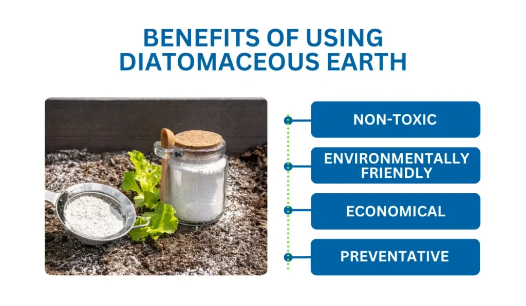 Benefits of Using Diatomaceous Earth