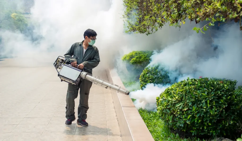 Man work fogging to eliminate mosquito