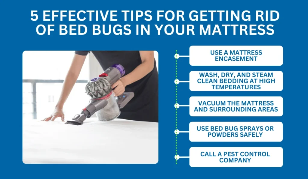 5 Effective Tips for Getting Rid of Bed Bugs in Your Mattress