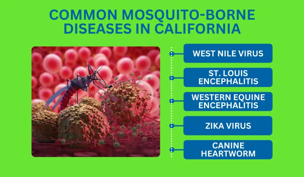 Common Mosquito-Borne Diseases in California