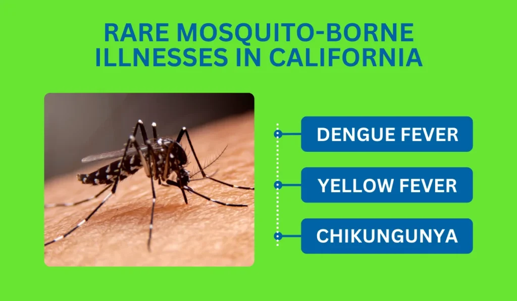 Rare Mosquito-Borne Illnesses in California