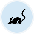 Mouse Icon