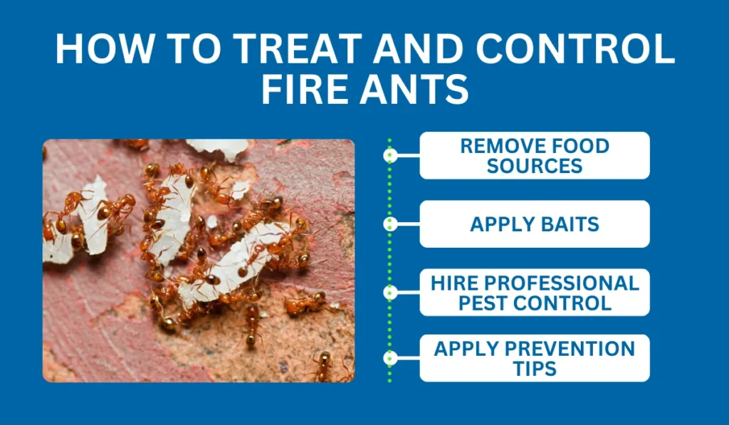 Treat and Control Fire Ants