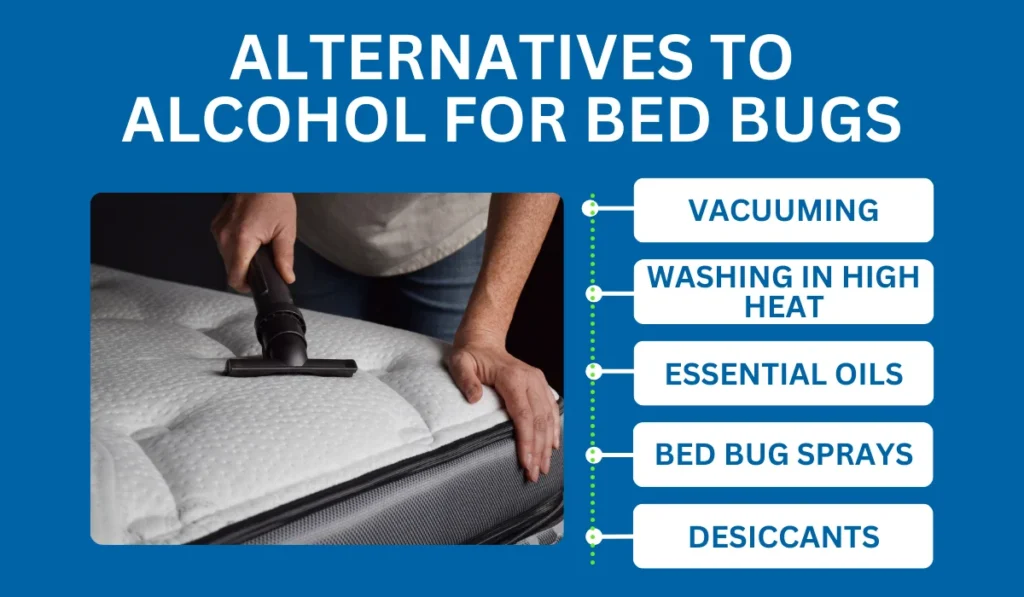 Alternatives to Alcohol for Bed Bugs