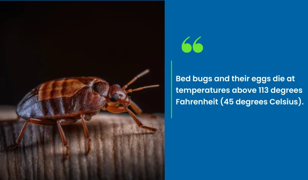 bed bug temperature limit