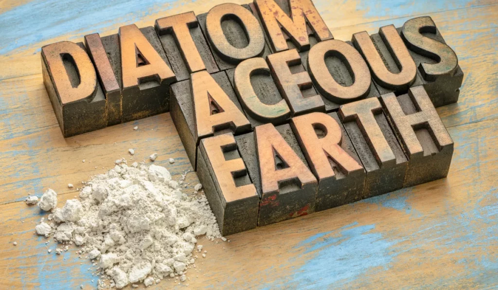 Diatomaceous Earth 