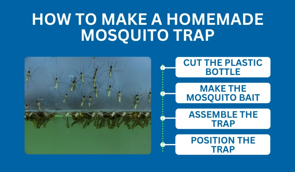 mosquito trap